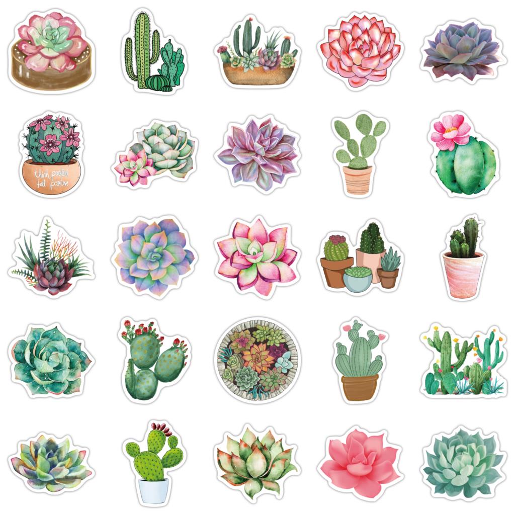 50PCS Succulent Stickers For L - Laptop Accessories Girly ulasan dan harga