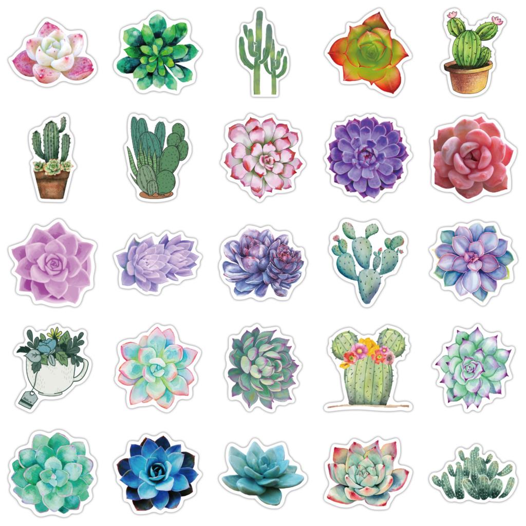 50PCS Succulent Stickers For L - Laptop Accessories Girly ulasan dan harga