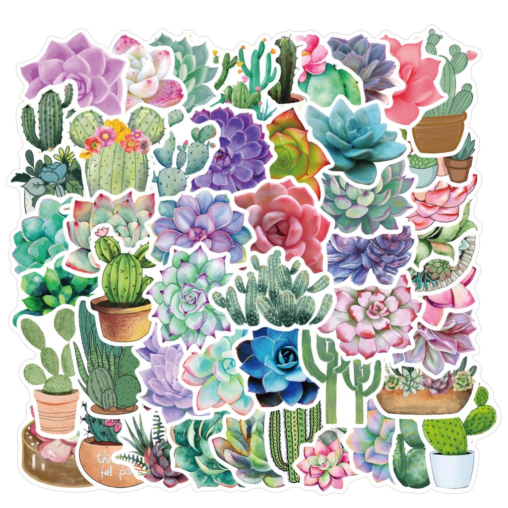 50PCS Succulent Stickers For L - Laptop Accessories Girly ulasan dan harga
